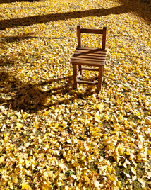 chair2 photo 02